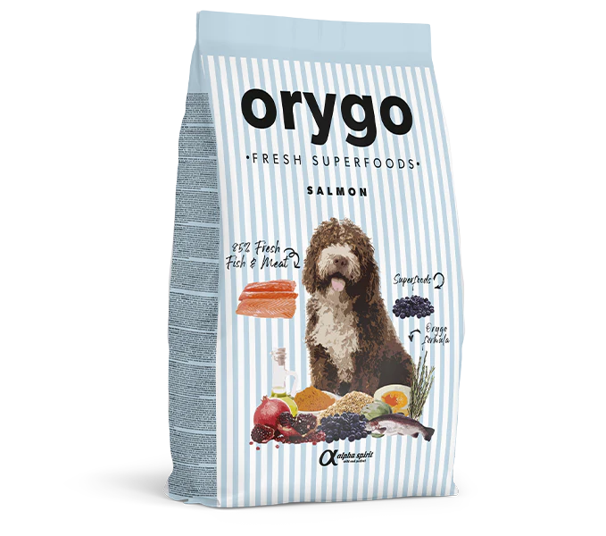 Orygo - Alimento de Salmón con Arándanos para Perros - Image 3